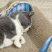 PawHut 2 in1 Cat Scratcher with Catnip, Cardboard Lounge Bed, Blue - Samanta Factory
