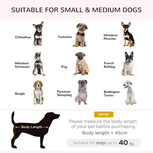 PawHut Elevated Dog Sofa Bed with Cushion for Medium and Small Dogs, Grey - Samanta Factory