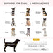 PawHut Elevated Dog Sofa Bed with Cushion for Medium and Small Dogs, Grey - Samanta Factory