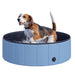 Foldable pet pool for dogs with wooden frame and splash-resistant PVC walls
