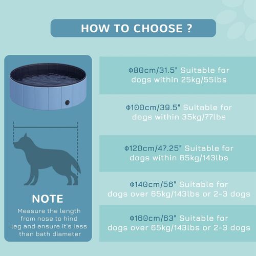Pet Cat Dog Swimming Pool Indoor Outdoor Bathing Foldable Inflate 100cm Pawhut - Samanta Factory
