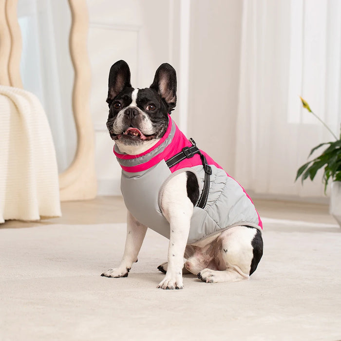 Waterproof Dog Jacket with Harness – Winter Warm Pet Coat for Small & Large Dogs, Labrador, Chihuahua, French Bulldog - Samanta Factory