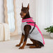 Waterproof Dog Jacket with Harness – Winter Warm Pet Coat for Small & Large Dogs, Labrador, Chihuahua, French Bulldog - Samanta Factory