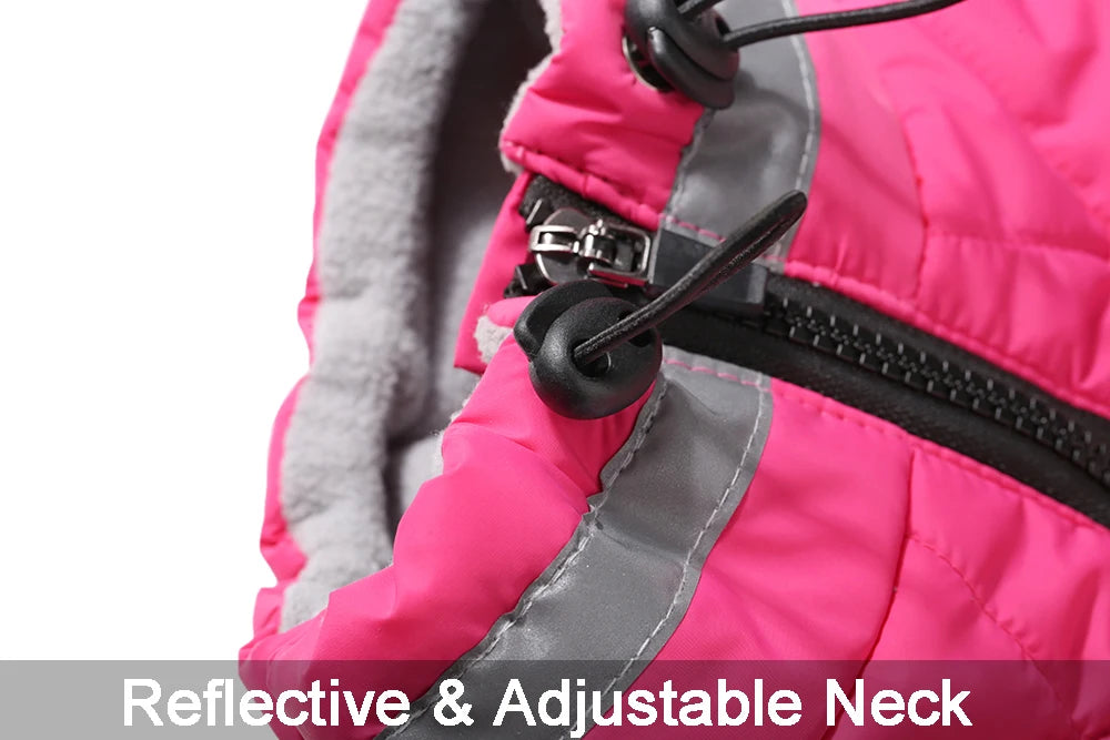 Waterproof Dog Jacket with Harness – Winter Warm Pet Coat for Small & Large Dogs, Labrador, Chihuahua, French Bulldog - Samanta Factory