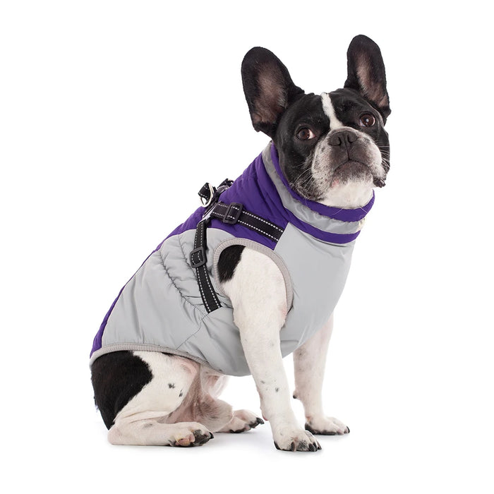 Waterproof Dog Jacket with Harness – Winter Warm Pet Coat for Small & Large Dogs, Labrador, Chihuahua, French Bulldog - Samanta Factory