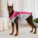 Waterproof Dog Jacket with Harness – Winter Warm Pet Coat for Small & Large Dogs, Labrador, Chihuahua, French Bulldog - Samanta Factory