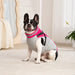 Waterproof Dog Jacket with Harness – Winter Warm Pet Coat for Small & Large Dogs, Labrador, Chihuahua, French Bulldog - Samanta Factory