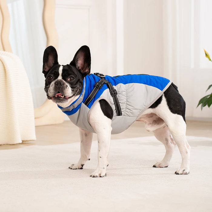 Waterproof Dog Jacket with Harness – Winter Warm Pet Coat for Small & Large Dogs, Labrador, Chihuahua, French Bulldog - Samanta Factory