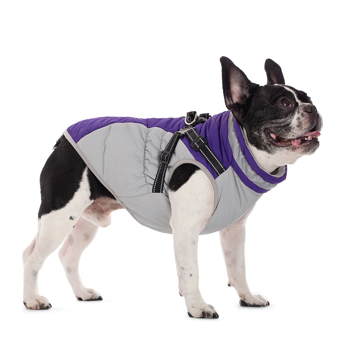 Waterproof Dog Jacket with Harness – Winter Warm Pet Coat for Small & Large Dogs, Labrador, Chihuahua, French Bulldog - Samanta Factory