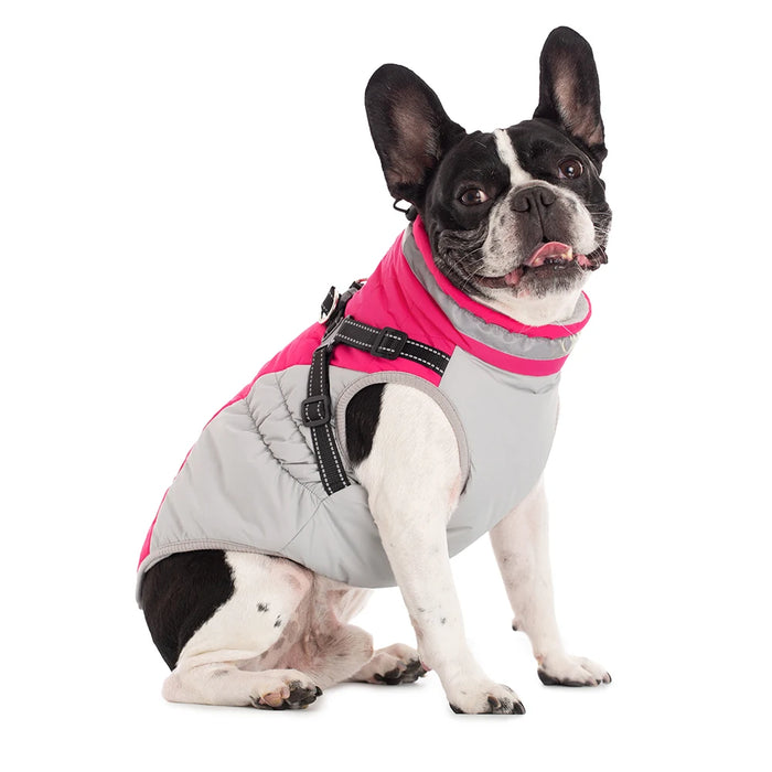 Waterproof Dog Jacket with Harness – Winter Warm Pet Coat for Small & Large Dogs, Labrador, Chihuahua, French Bulldog - Samanta Factory