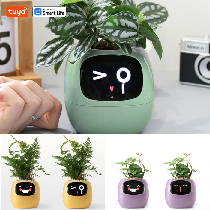 Tuya Ivy Smart Planter - AI-powered interactive plant pot with self-watering system and expressive reactions.