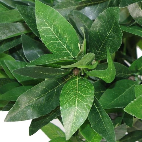 Artificial Bay Tree Topiary – Realistic Foliage with Twisted Stem or Classic Design - Samanta Factory