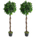 Realistic Artificial Laurel Leaf Bay Tree Topiary in Decorative Planter


