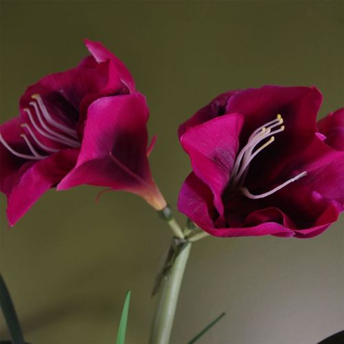 Artificial Amaryllis Plant – Lifelike Indoor Floral Display with Decorative Grey Pot - Samanta Factory