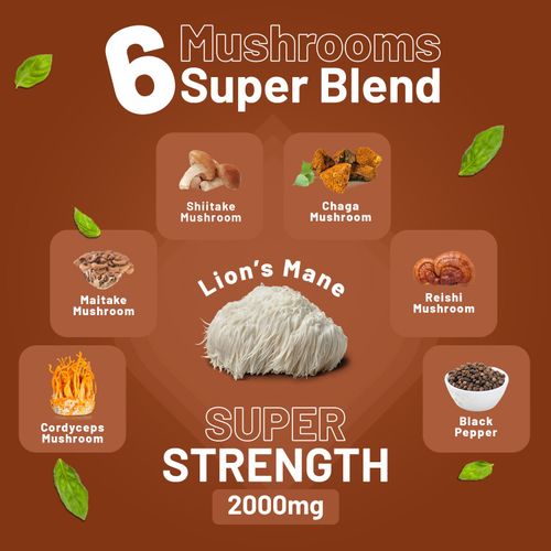 Vegan mushroom complex supplement with 6-mushroom blend for immune and brain support – 120 tablets

