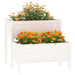 2-Tier White Wooden Planter | Solid Pine Raised Bed with Dual Flower Boxes – 84.5x84x75cm - Samanta Factory
