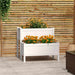 White 2-tier wooden planter with solid pine frame and dual flower boxes – compact raised bed for balcony or patio UK
